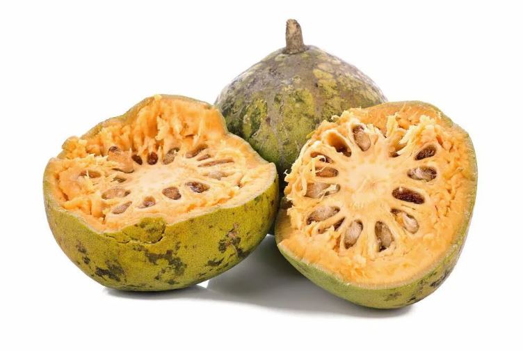 Wood Apple Oil Suyash Ayurveda